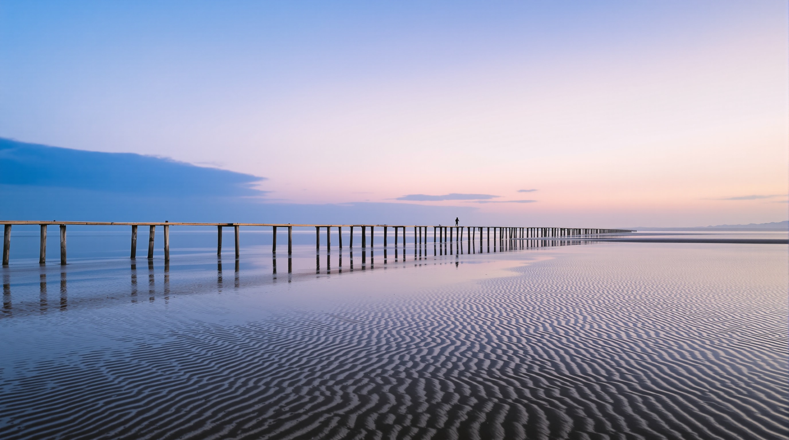 Wooden groynes on a wide beach exposed at low tide